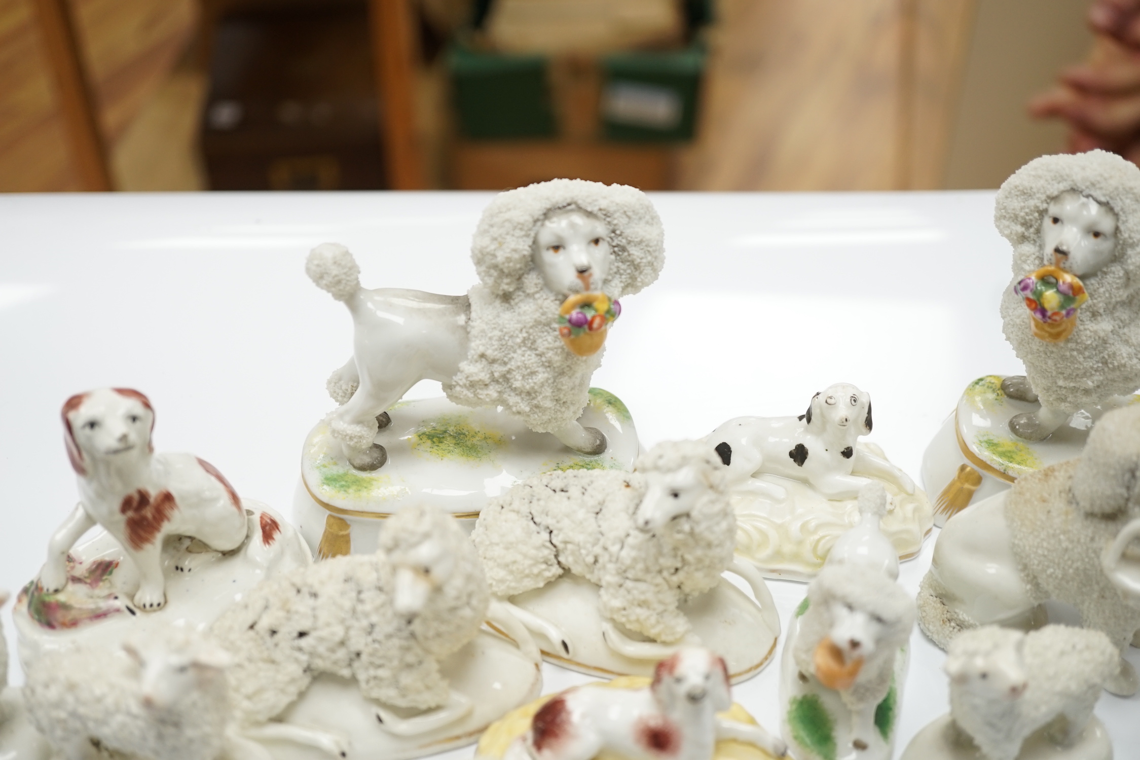 Two Samuel Alcock models of recumbent spaniels, a Staffordshire porcelain model of a seated spaniel and six similar sheep c.1830-50, and five Continental porcelain models of poodles (11)